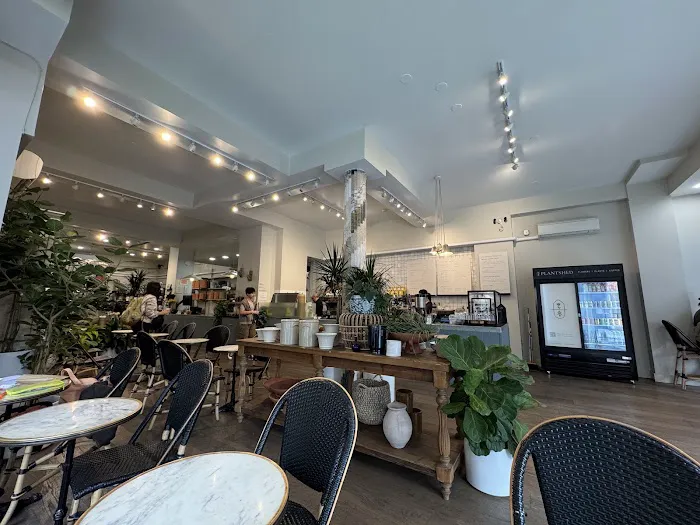 PlantShed Cafe Picture 10