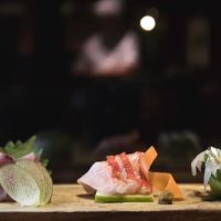 KOSAKA ico