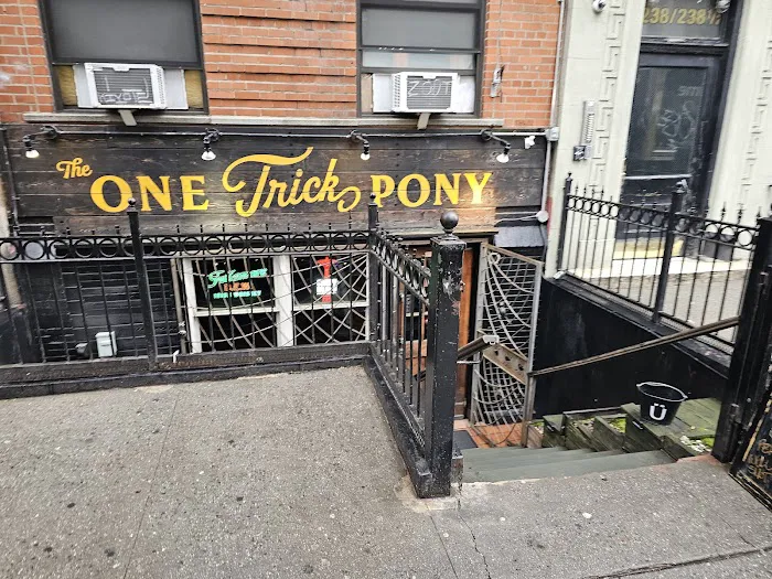 The One Trick Pony Picture 5