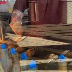 Doughnuttery High Line