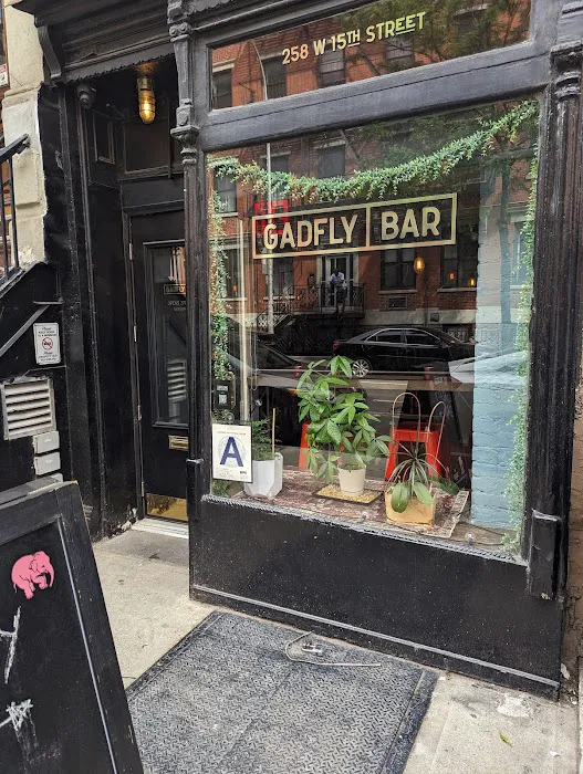 Gadfly Bar Picture 10
