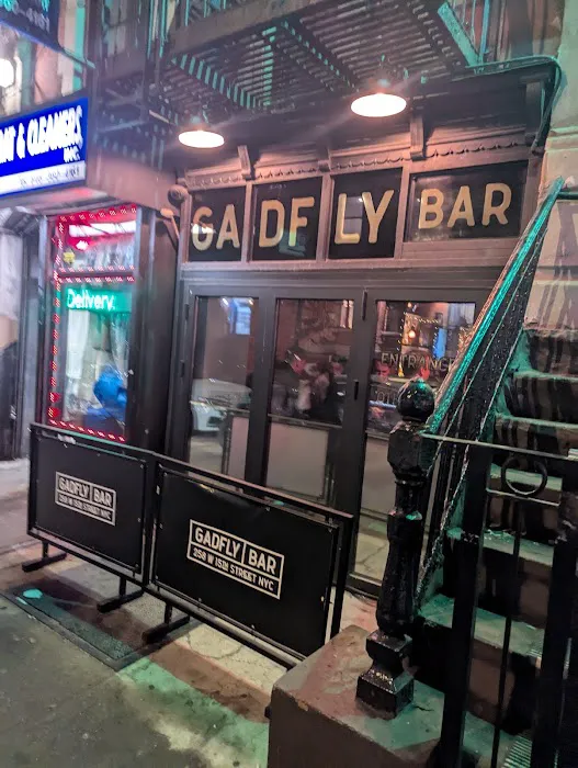 Gadfly Bar Picture 4