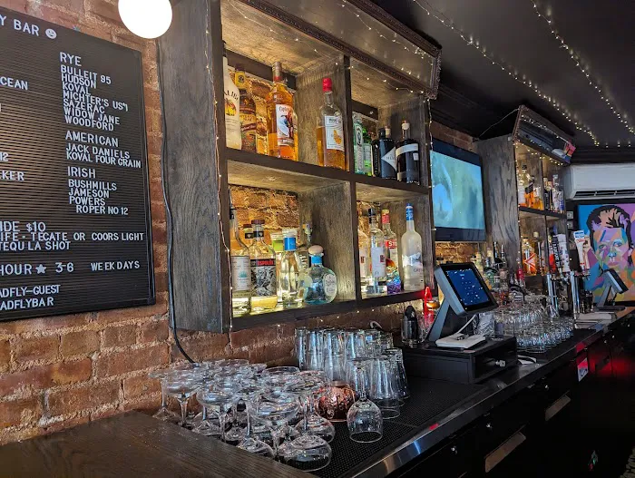 Gadfly Bar Picture 3