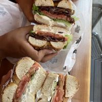 ARK Bagels ico
