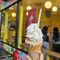 Van Leeuwen Ice Cream ico