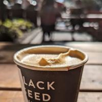 Black Seed Bagels ico