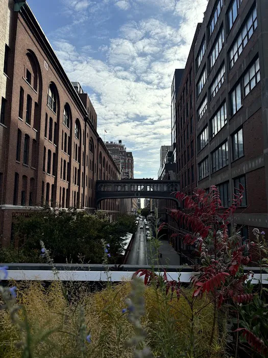 AS Food Yard Picture 7