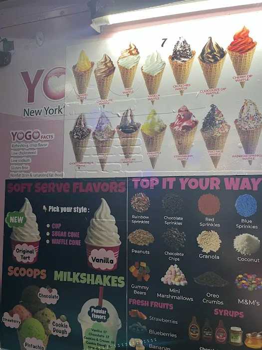 NYC’s Finest Yogurt & Ice Cream Picture 9