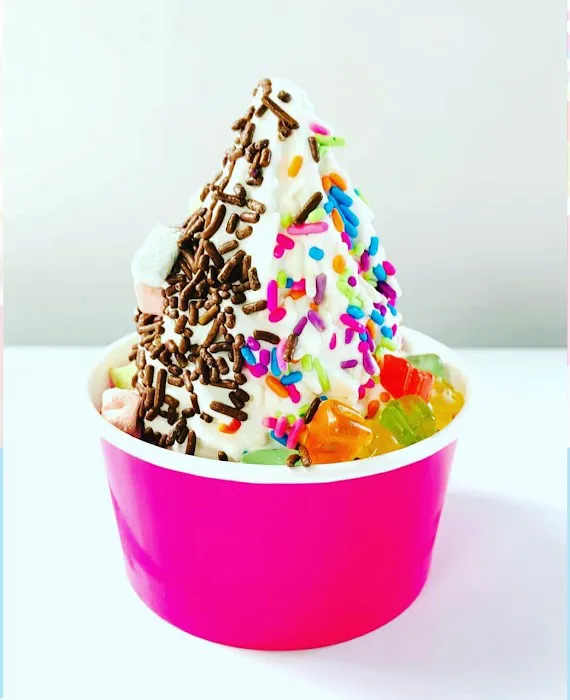 NYC’s Finest Yogurt & Ice Cream Picture 5