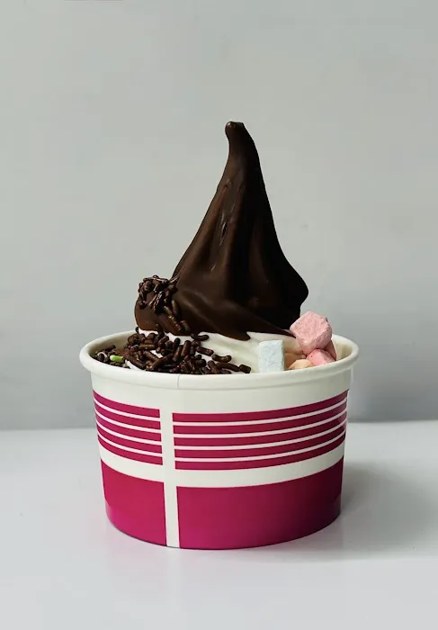 NYC’s Finest Yogurt & Ice Cream Picture 2