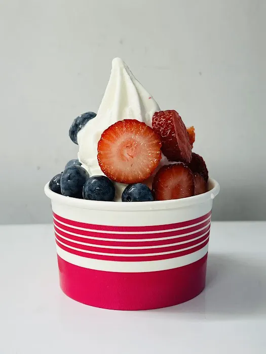 NYC’s Finest Yogurt & Ice Cream Picture 4
