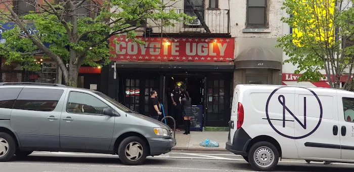 Coyote Ugly New York Picture 6