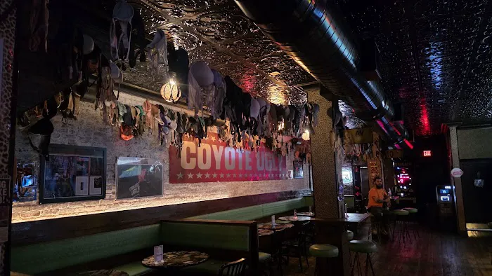 Coyote Ugly New York Picture 1
