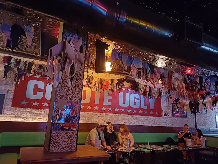 Coyote Ugly New York Picture 2
