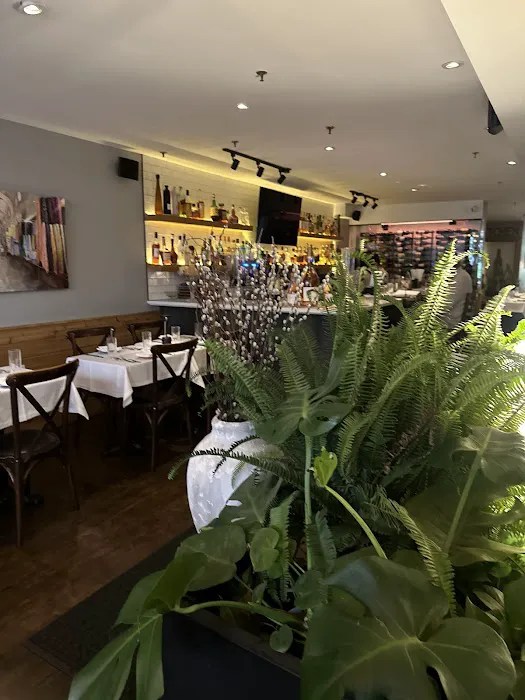 Shiraz Kitchen & Wine Bar Picture 6