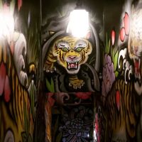 11 Tigers ico