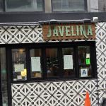 Javelina