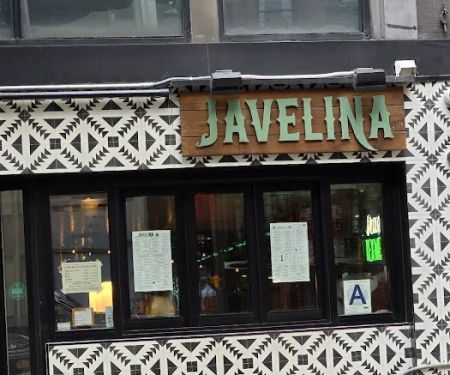Javelina