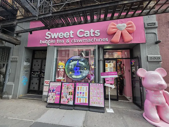 Sweet Cats Union Square Picture 5