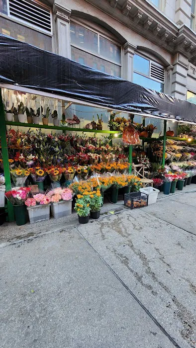 Bari Bodega Picture 7