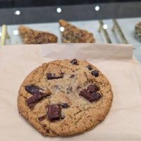 Matto Espresso ico
