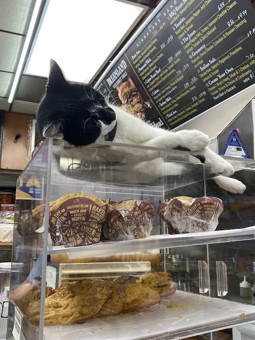 325 Dreamland Deli Picture 4