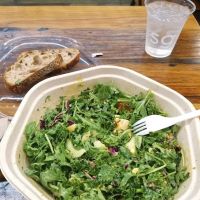 sweetgreen ico