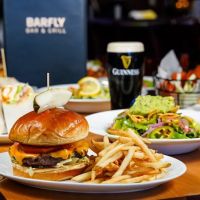 Barfly ico