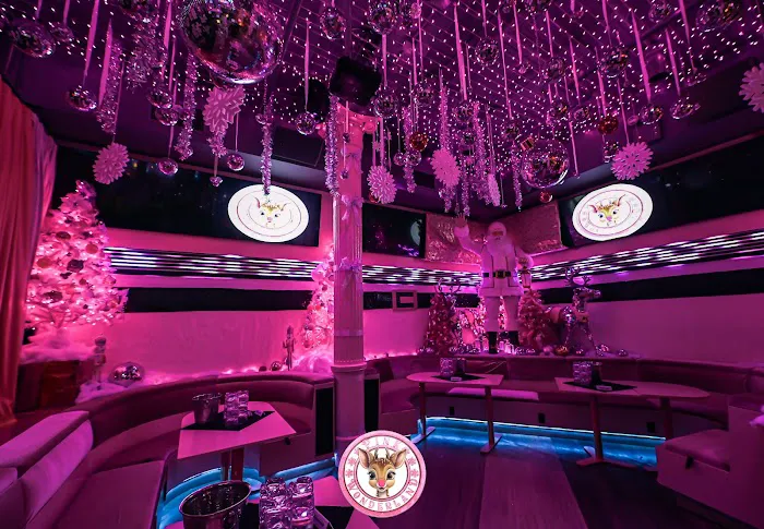 Pink Wonderland New York - Christmas Bar Picture 10