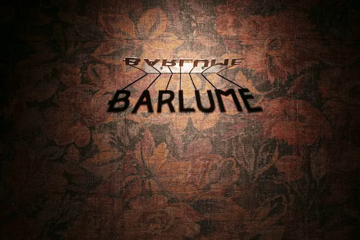 Barlume Downstairs Picture 4
