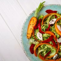 Vegetarian Village ico