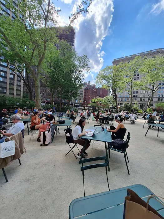 Shake Shack Madison Square Park Picture 8