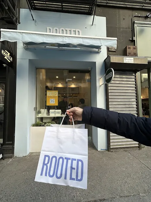 Rooted Picture 1