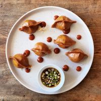 City Dumpling ico
