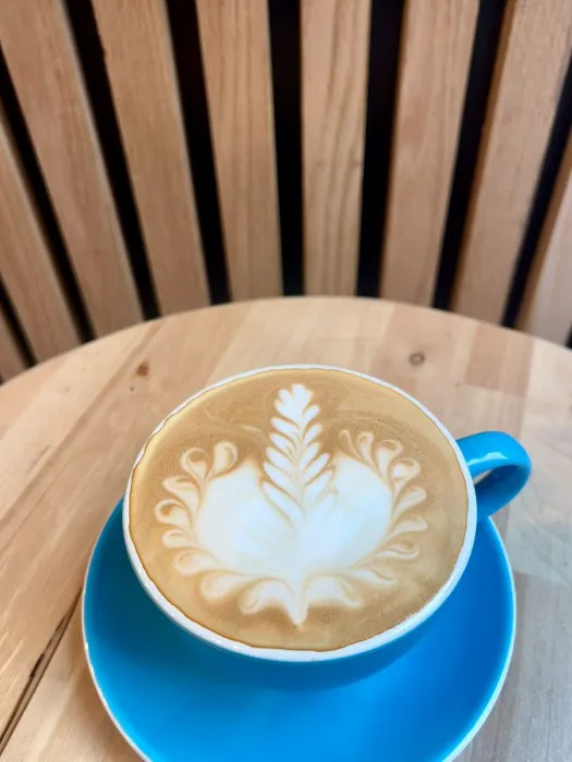 Velvette Espresso Bar Picture 2