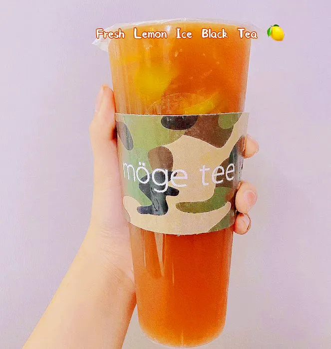 Möge Tee Picture 2