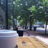 PROOF Coffee Roasters ico