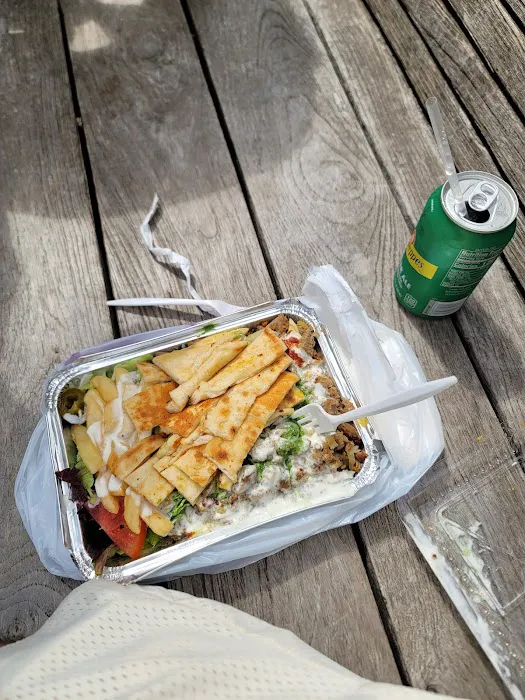 King Cab Halal Food Cart Picture 10