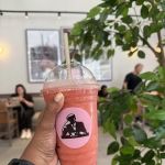 JOE & THE JUICE