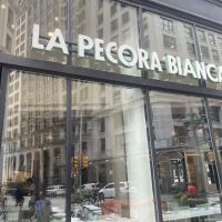 La Pecora Bianca NoMad ico
