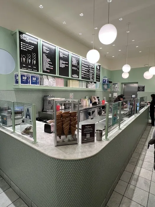 Van Leeuwen Ice Cream Picture 4