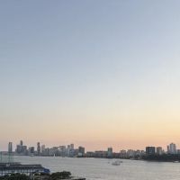 The Yacht Club ico