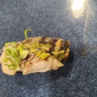 Canaan Sushi ico