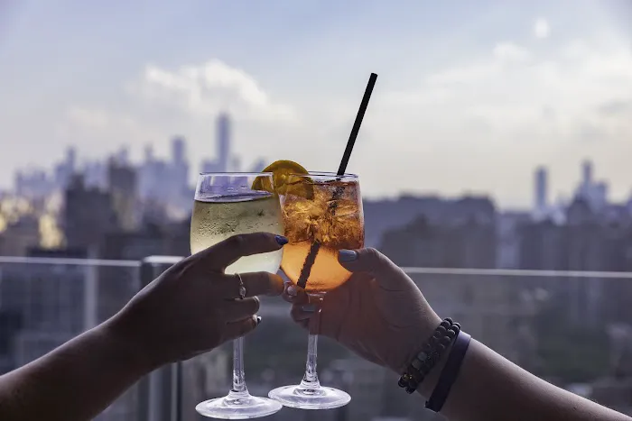 Blu33 NYC Rooftop Bar Picture 6
