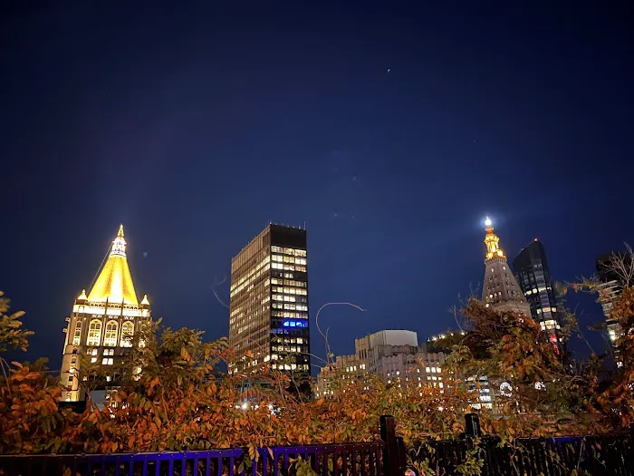 230 Fifth Rooftop Bar Picture 5