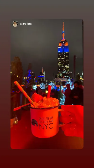 230 Fifth Rooftop Bar Picture 10