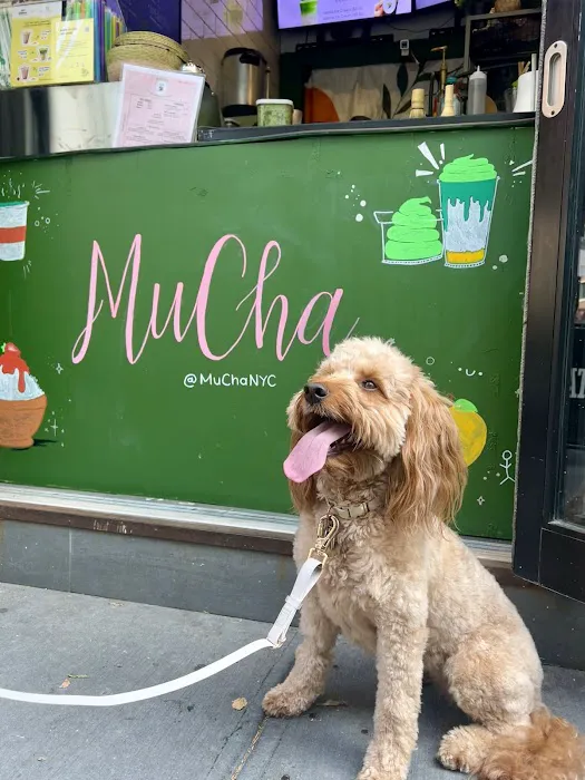 MuCha’s Matcha Picture 3