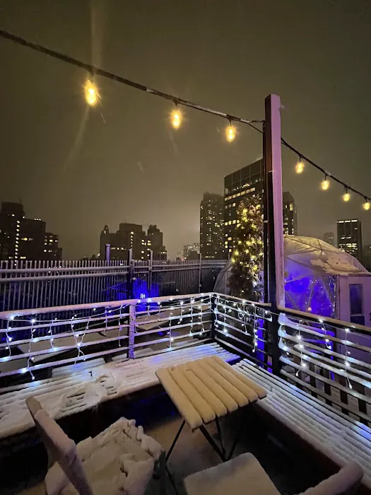 Igloo Bar NYC Picture 3