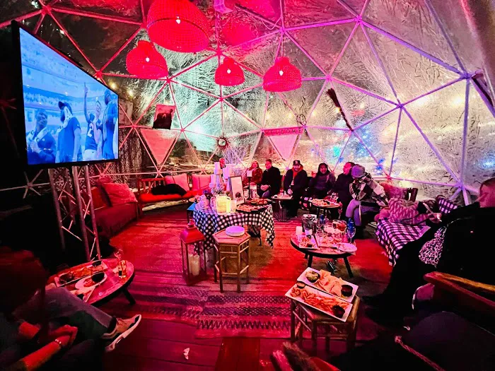 Igloo Bar NYC Picture 2