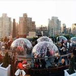 Igloo Bar NYC